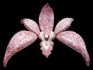 Orquídea, 2011 de Maylee Christie